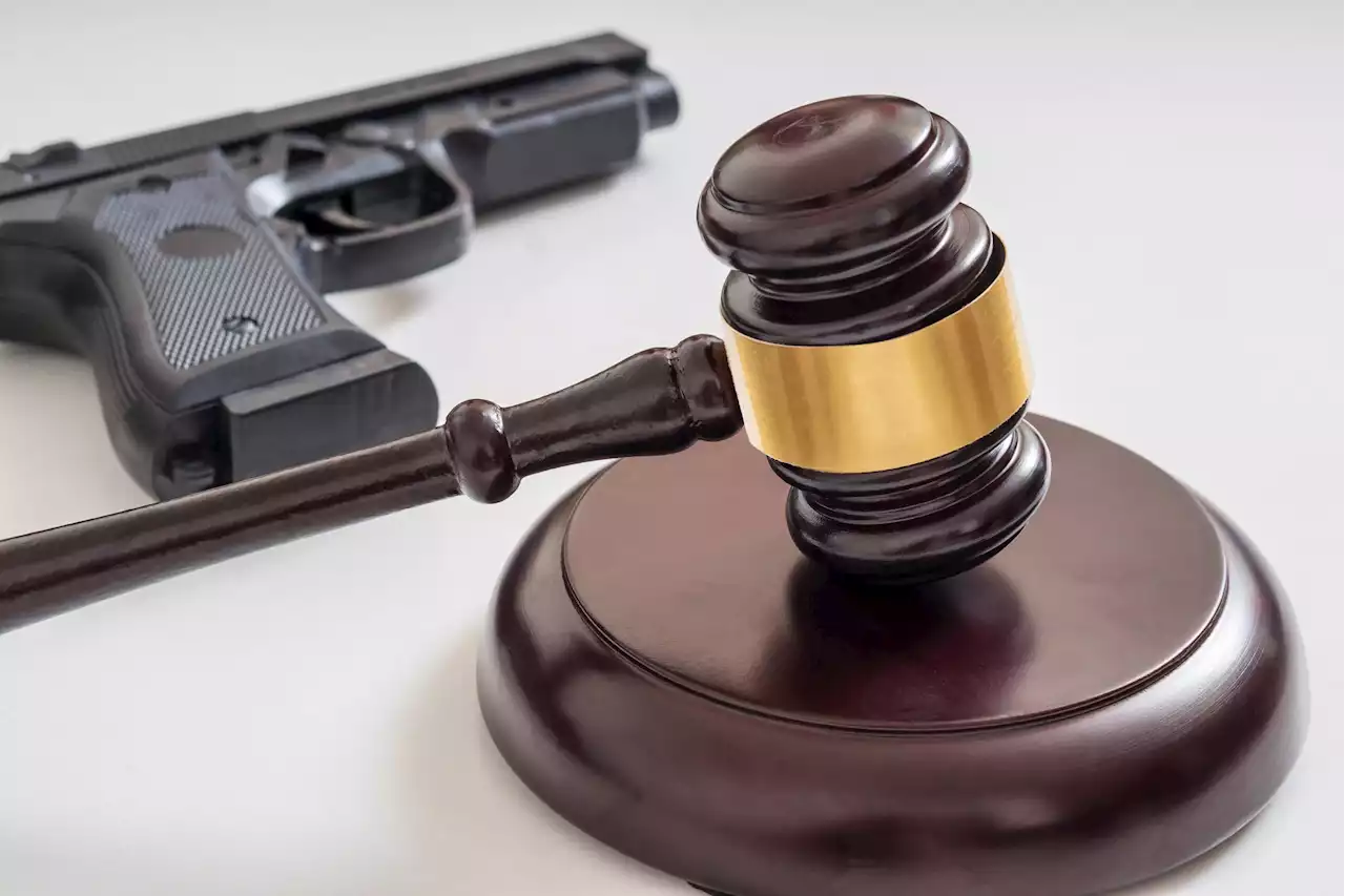 New York's gun law gets reprieve from federal appeals court - New York Amsterdam News