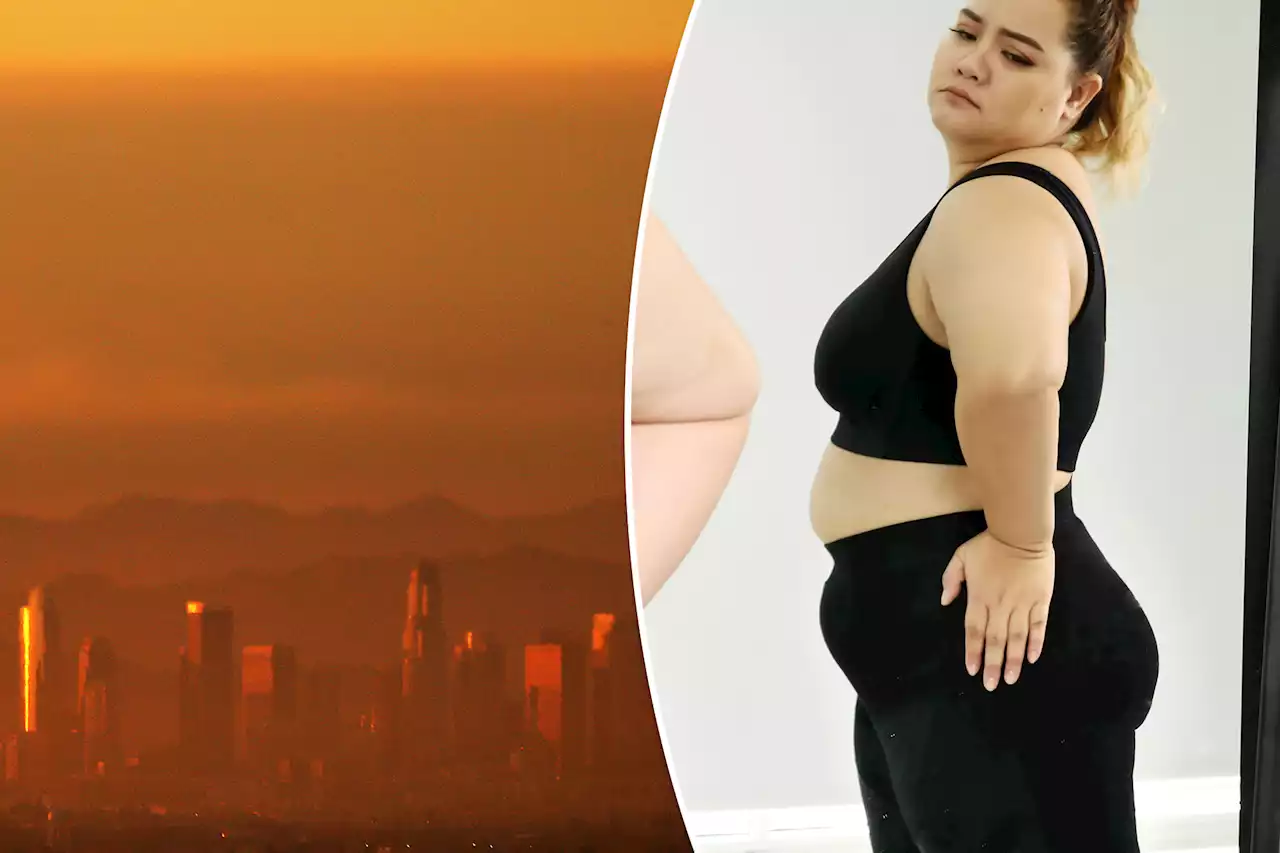 Air pollution is making women fat: new study