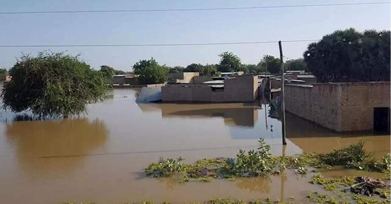 Drought and floods leave Chad herders without food, milk