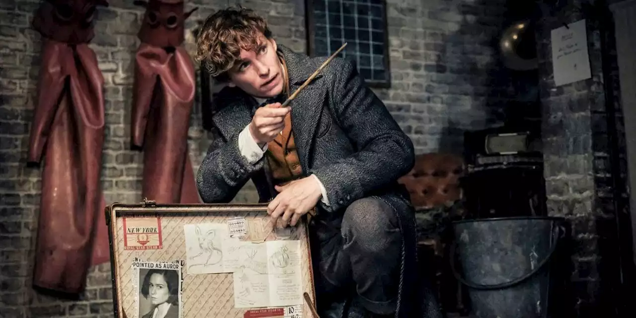 Eddie Redmayne Confesses To Stealing Key Fantastic Beasts Prop From Set