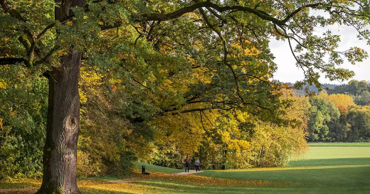 Wetterbericht: Ungewöhnlich warm startet das Saarland in die neue Woche (mit Video)