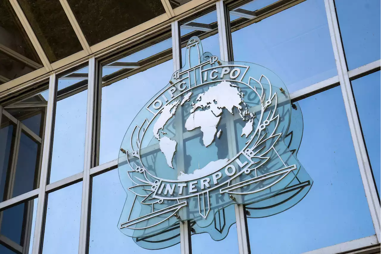 Operation Jackal: Interpol arrests Black Axe fraud suspects