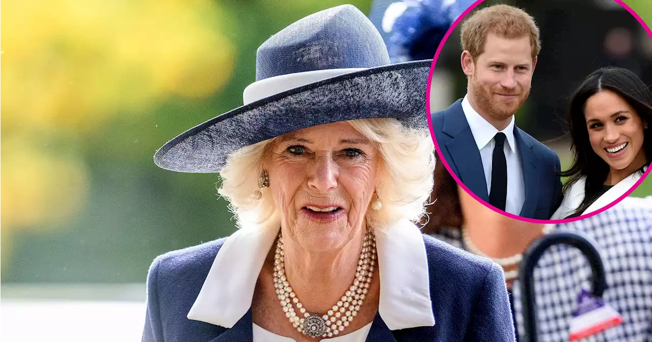 How Queen Consort Camilla Honors Family, Including Harry, Meghan in New Pic