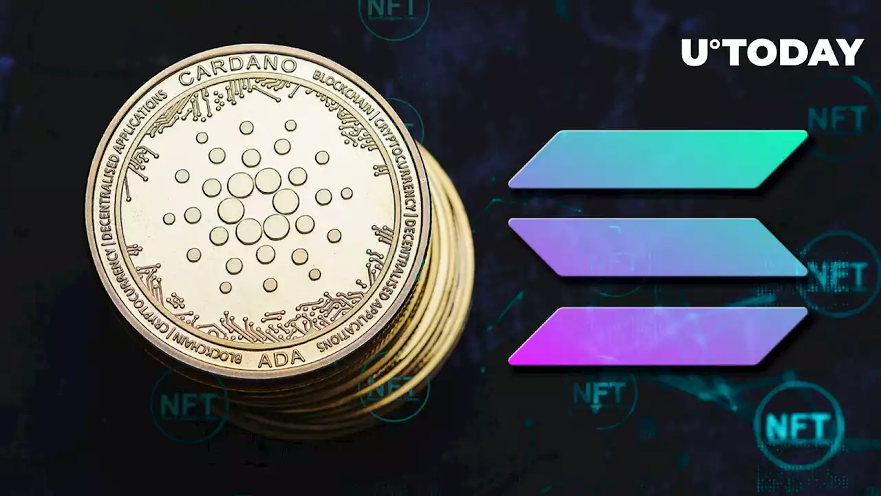 Cardano Takes Solana NFT Traders, Here's Why They Run from SOL to ADA