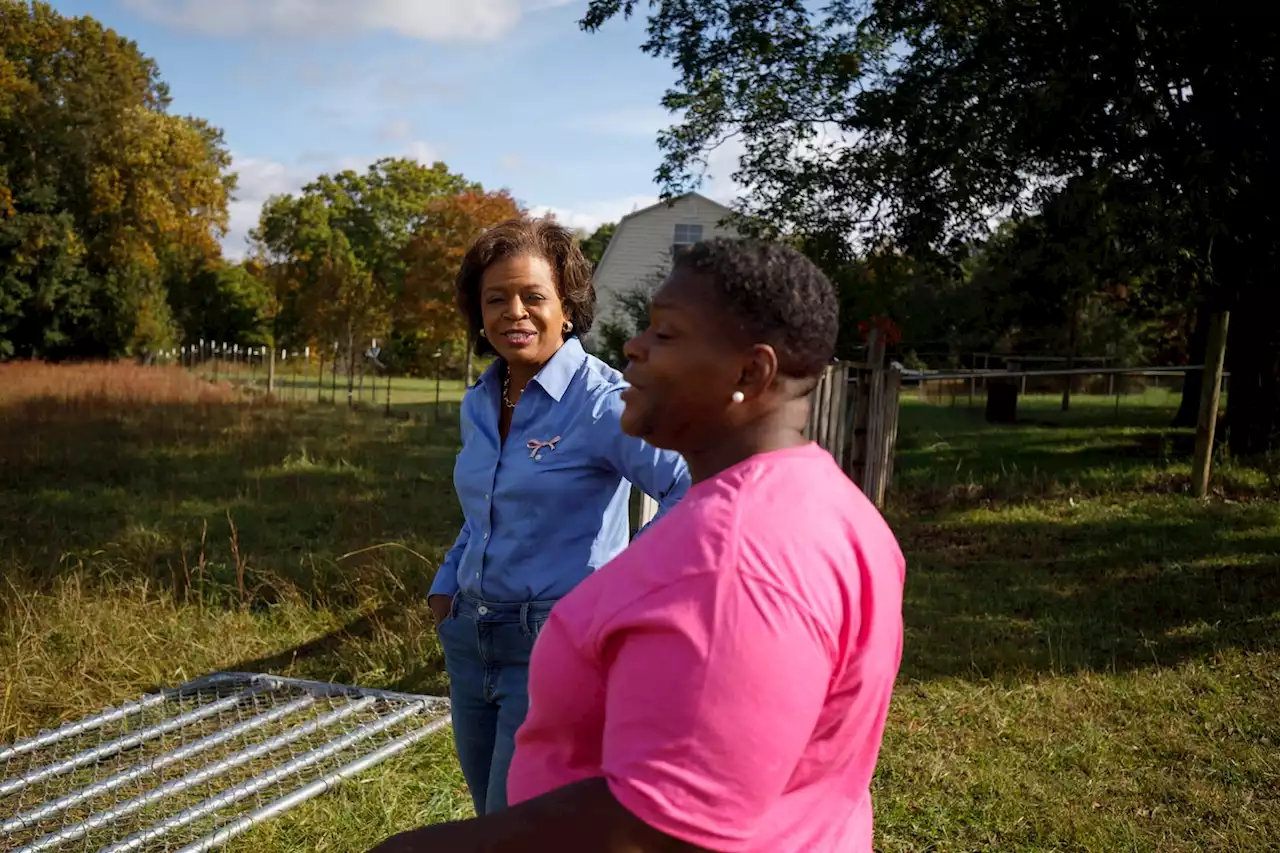 Are Democrats squandering a chance in Cheri Beasley’s N.C. Senate race?