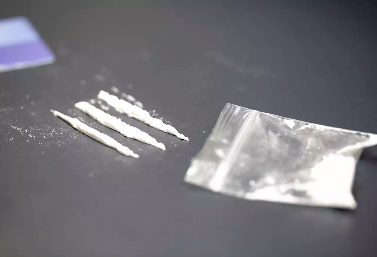 Regularización de la cocaína en Colombia: hay división entre los congresistas