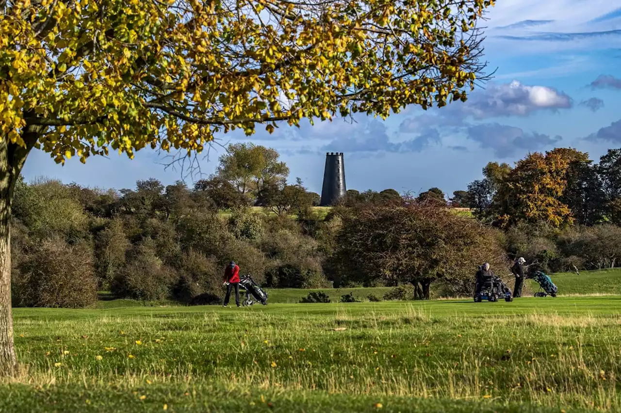 Beverley Westwood: Man exposes himself to child near ice cream van on historic Yorkshire common