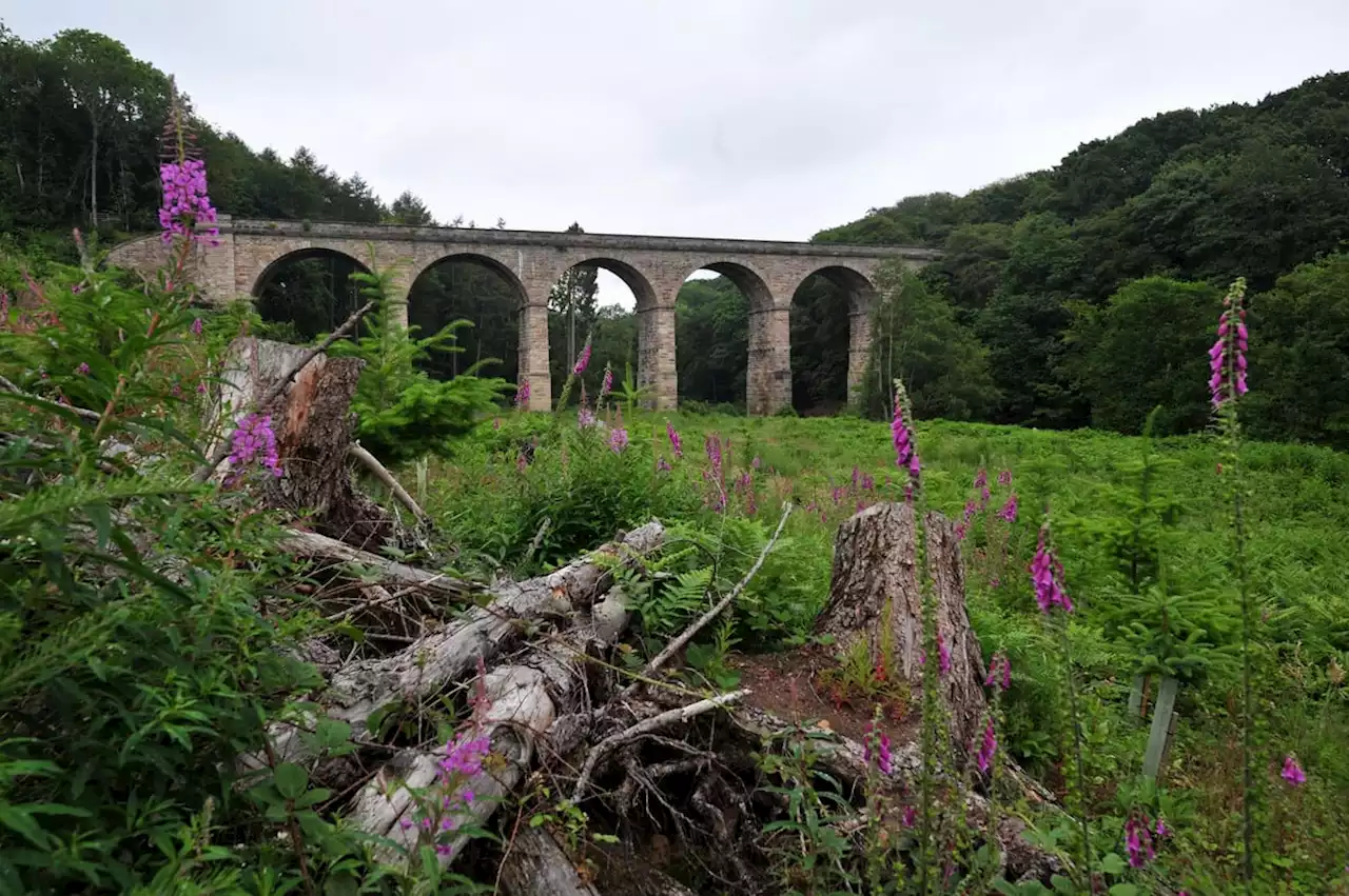 Body found in Yorkshire river has been identified as police launch investigation