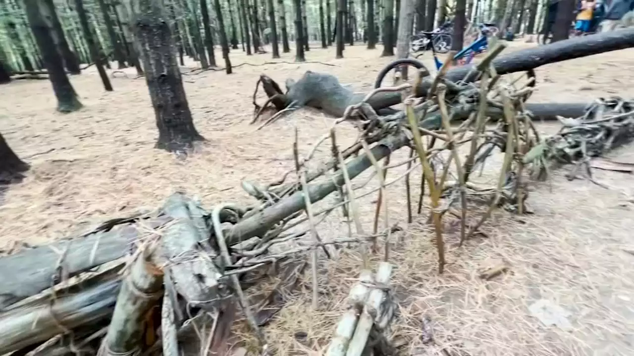 Dinosaur sculptures destroyed in New Jersey park