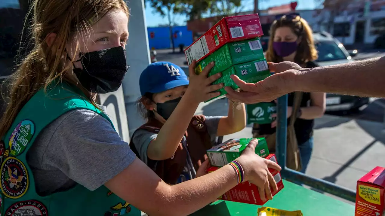 Girl Scouts get largest donation in history from MacKenzie Scott