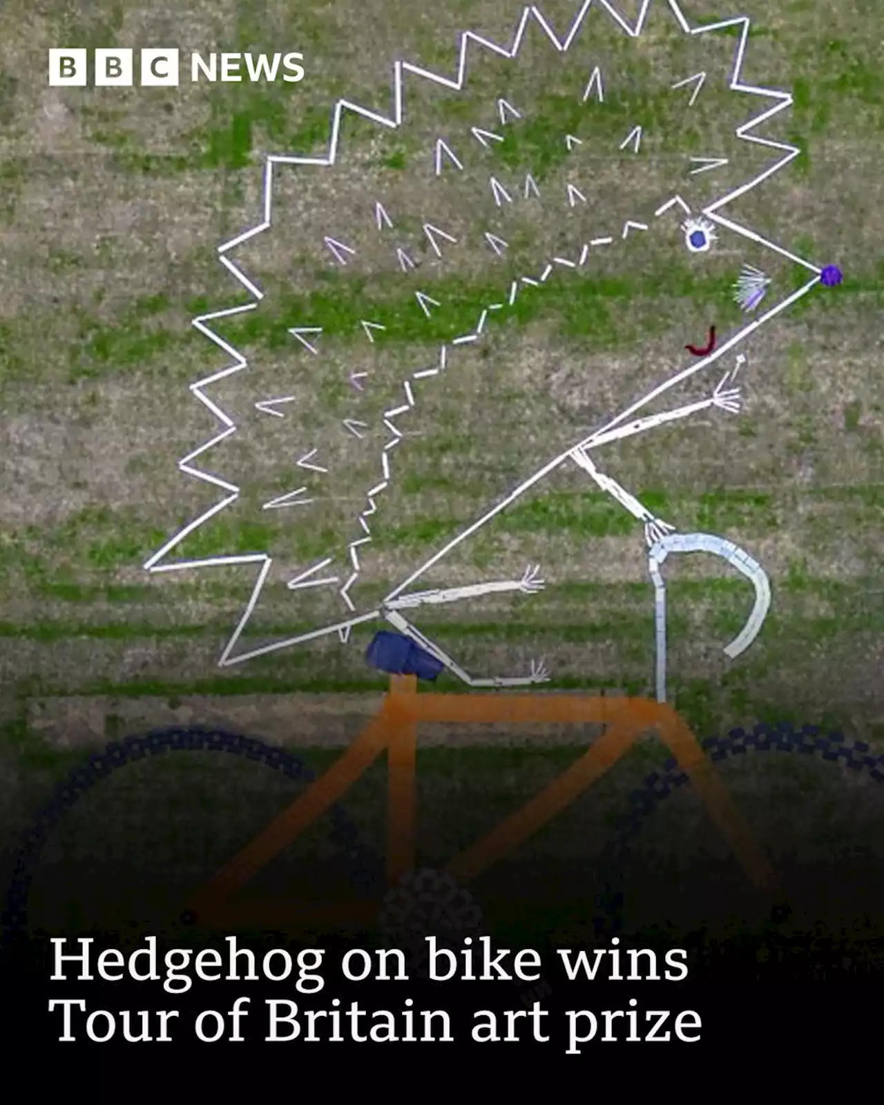 Tour of Britain: Keyworth hedgehog on bike wins national art prize