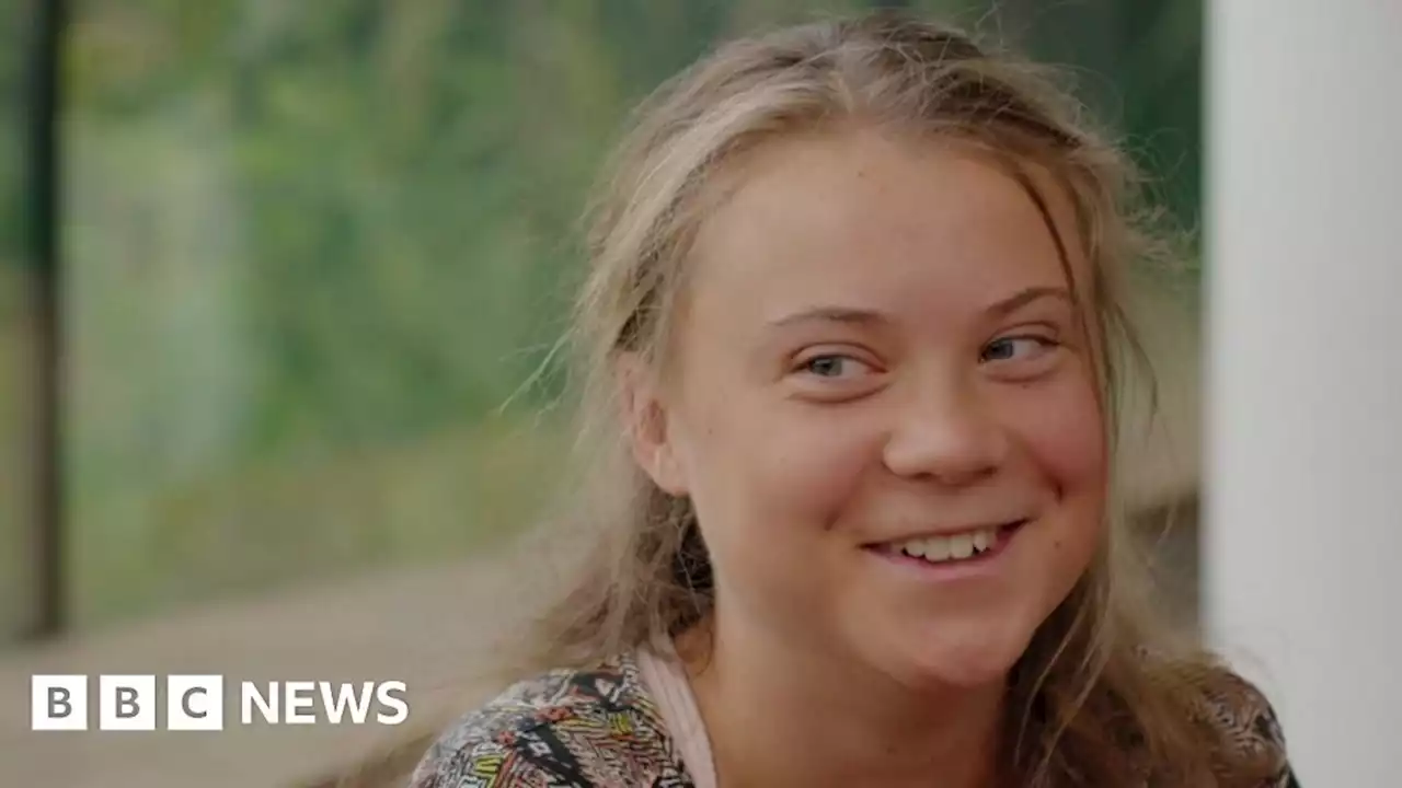 Thunberg: I don't want to go into politics