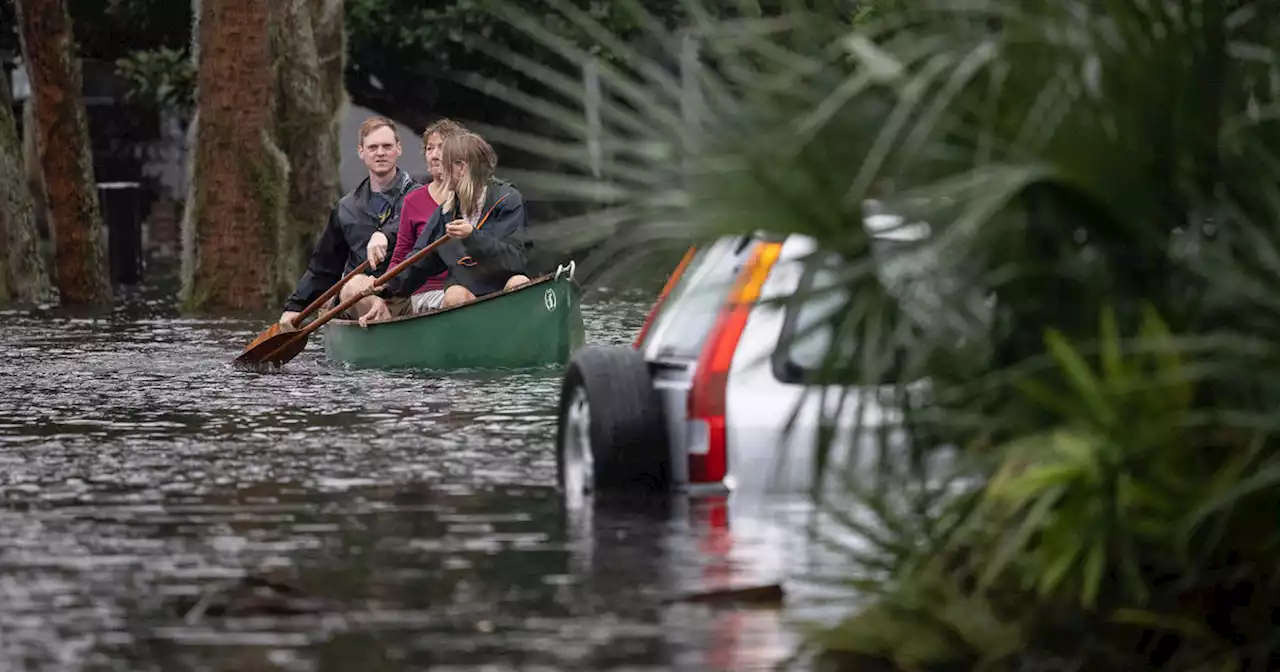 Florida county sees spike in deadly infections caused by 'flesh-eating' bacteria after Hurricane Ian