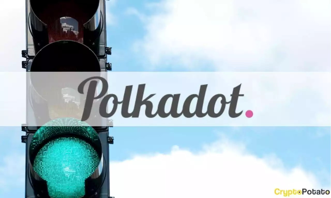 Polkadot Development Activity Peaks in Q3: Report