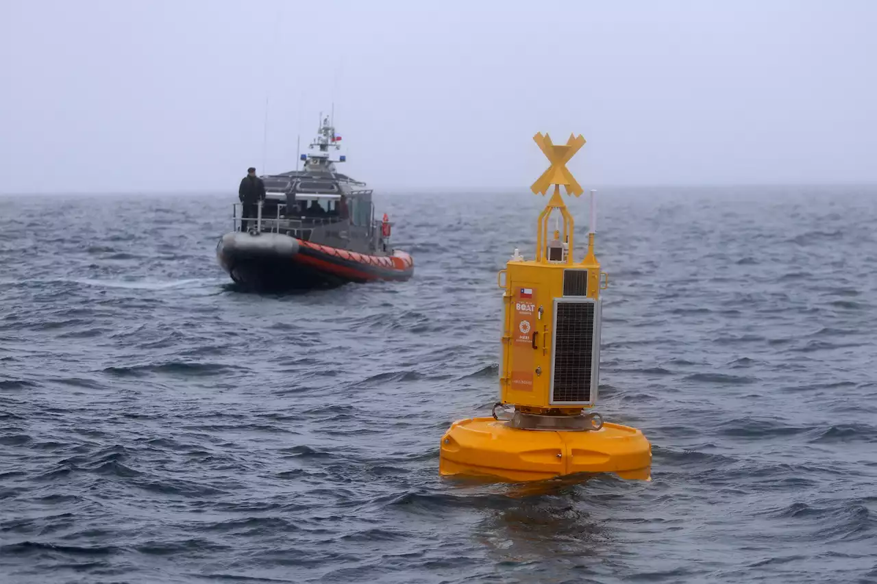 Smart buoy 'hears' the sea to protect whales against ship collisions | Engadget