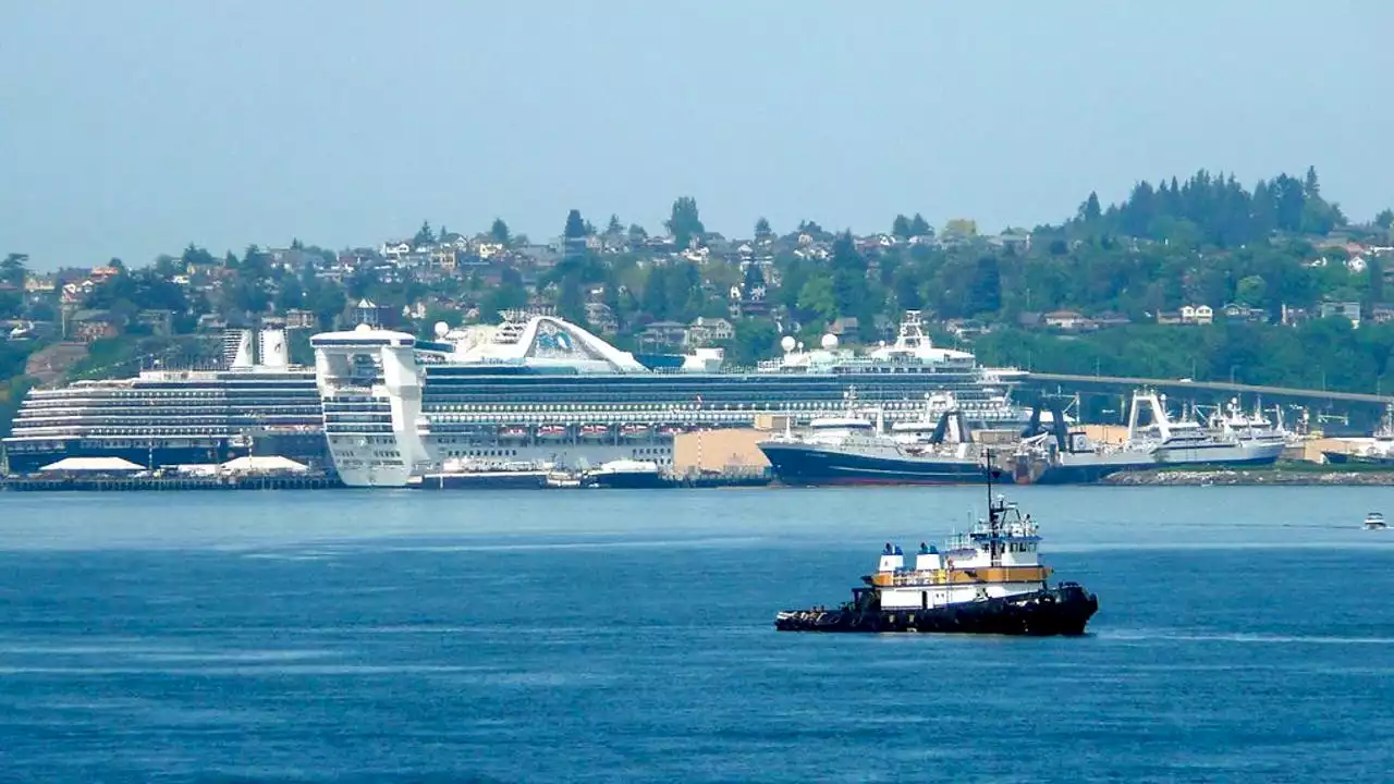 Ships in North Sound to slow down to reduce noise pollution on orcas