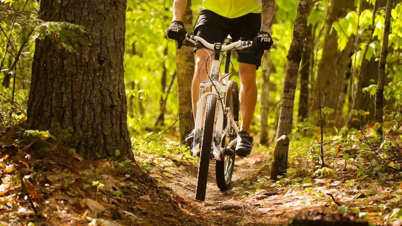 13 miles of new trails opens in Cook County for mountain bikers, trail runners