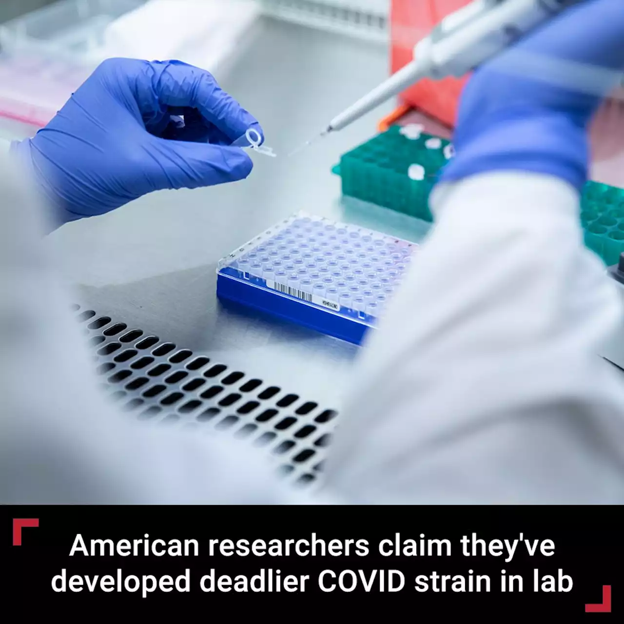 Boston University researchers claim to have developed new, more lethal COVID strain in lab