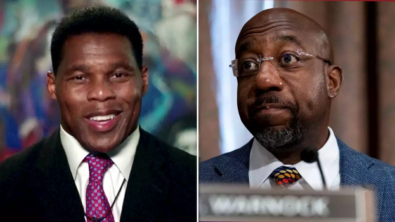 Raphael Warnock is 'either rubber stamp for Biden or has no clue what he's doing': Herschel Walker