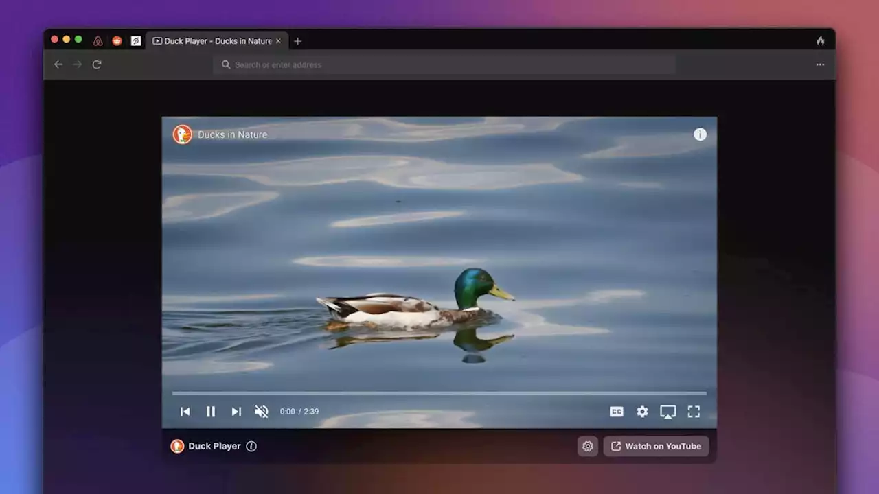 DuckDuckGo's New Web Browser for Mac Protects Your Privacy On YouTube