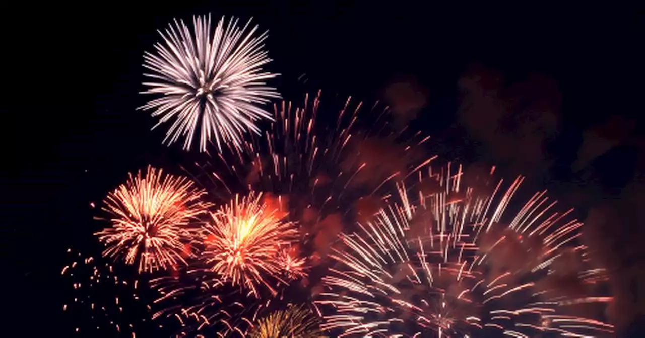 Should sale of fireworks be banned to the public?