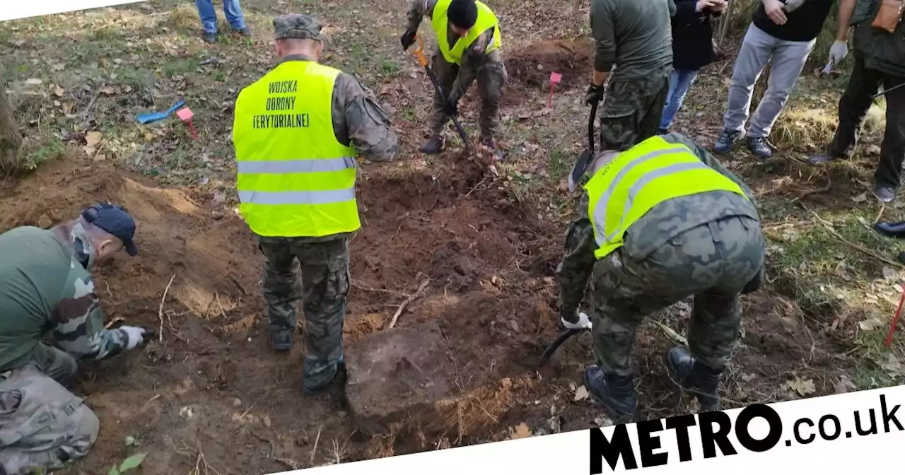 Researchers stumble across mass grave while looking for father and son's bodies