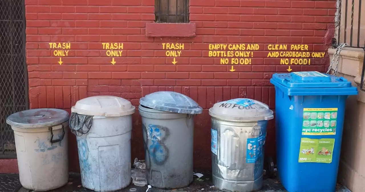 New York City: What If We Put Trash Inside Cans?