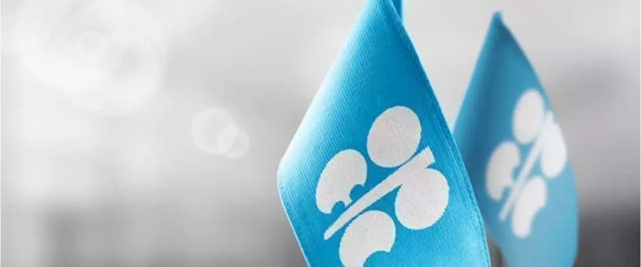 OPEC+ Made The Russian Oil Price Cap Strategy Very Risky | OilPrice.com