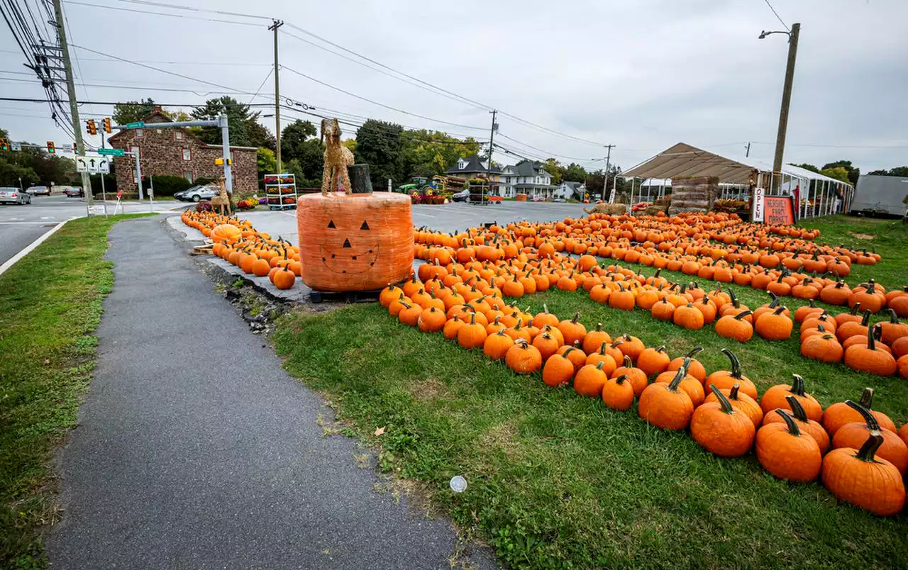 Traffic concerns grow over proposed development with Sheetz in Dauphin County