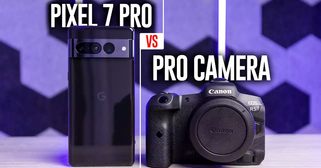 Comparing the Pixel 7 Pro to Canon R5 Shows a Gap, But It's Closing