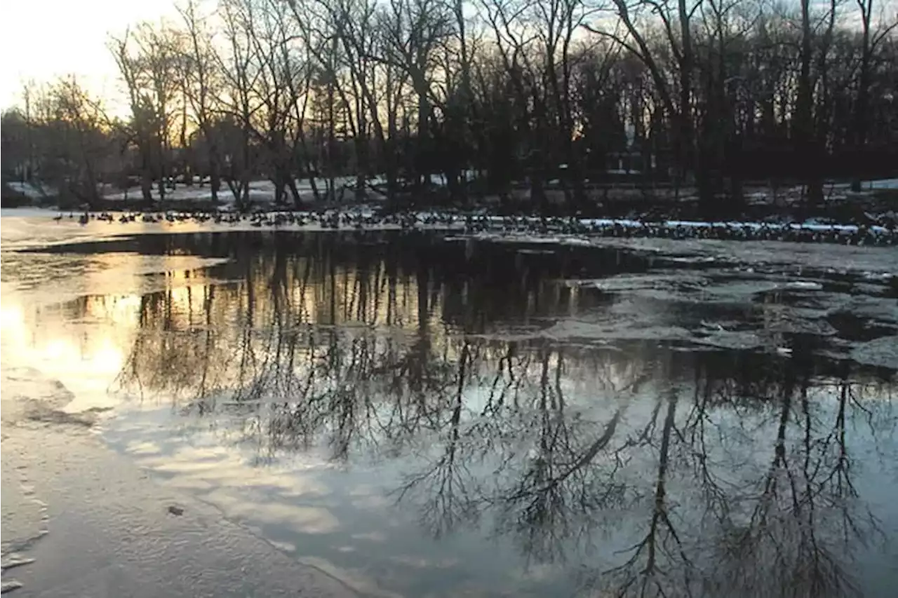 A first frost is possible in Philly on Wednesday, with a ‘hard freeze’ outside the city