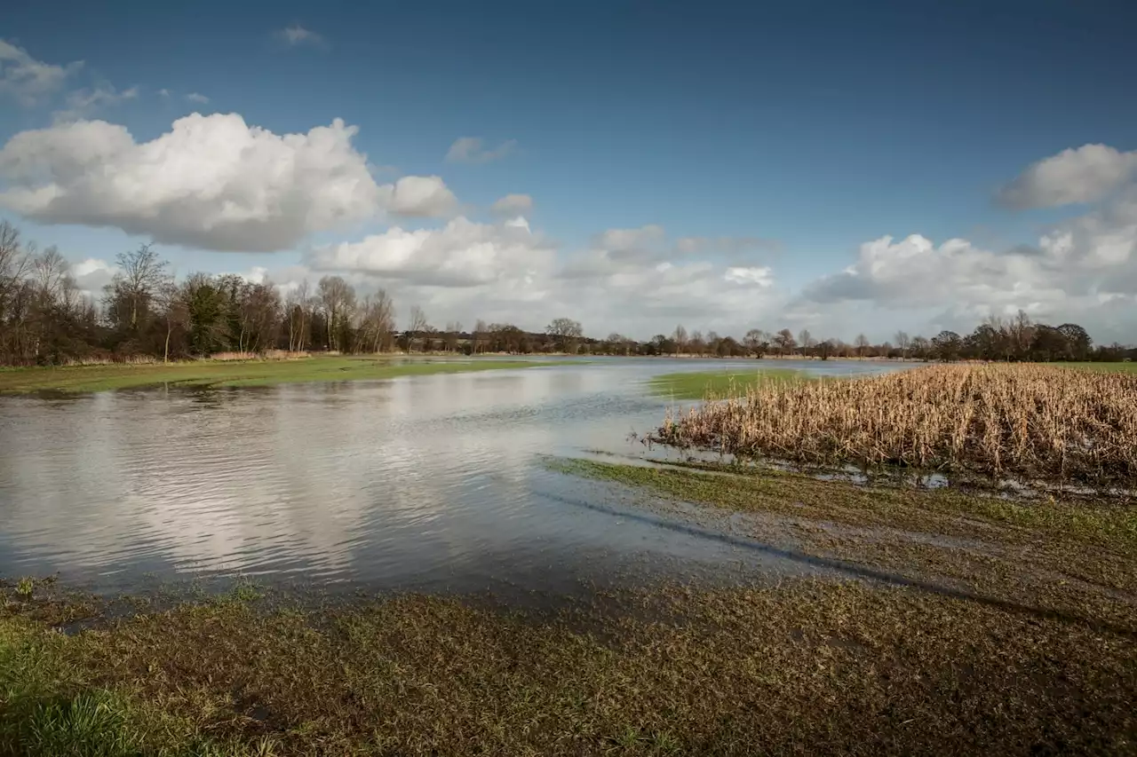 How disastrous floods can also lead to food insecurity