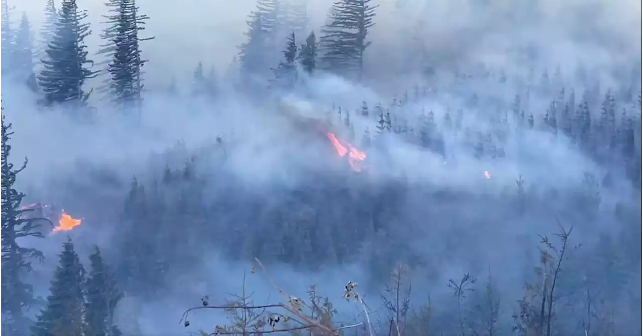 Cooler weather helps firefighters battle Nakia Creek Fire in Washington state