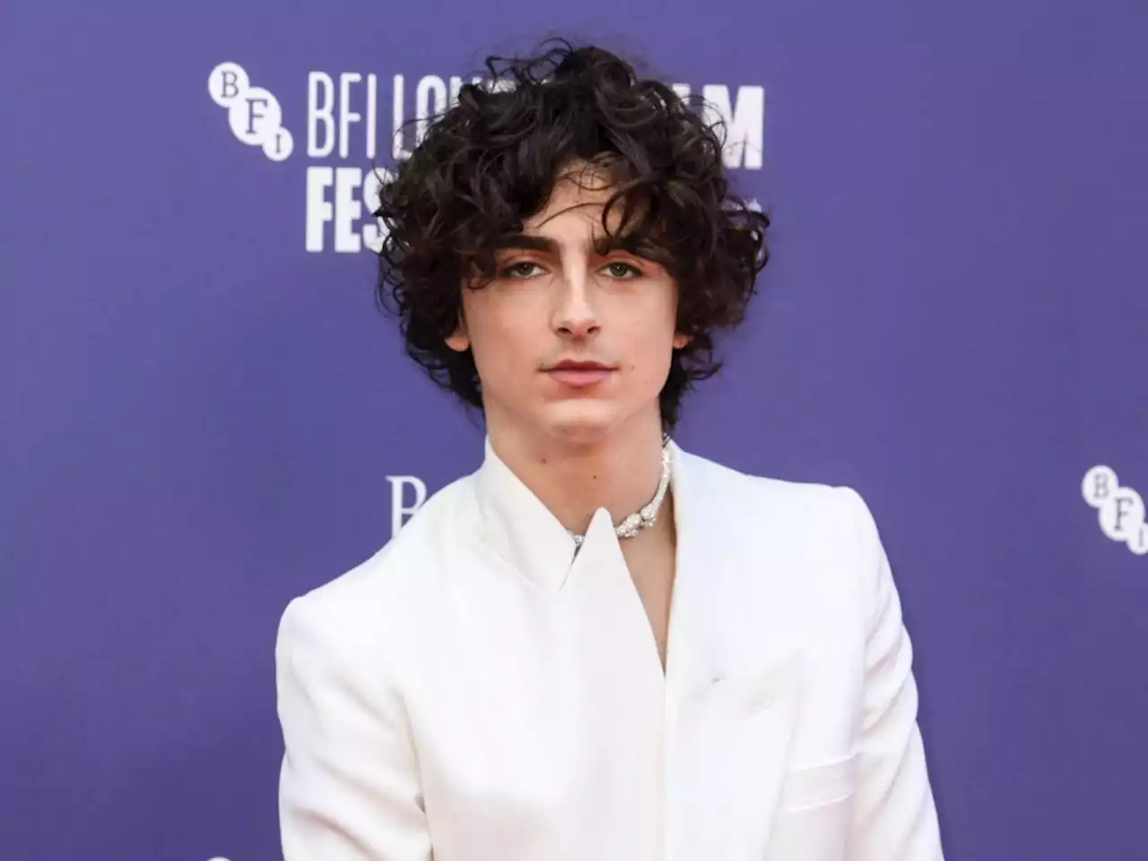 Timothée Chalamet Spent $11 million on Kate Upton’s Tranquil Mountain Home — Peek Inside!