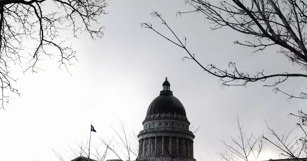 2022 midterm elections: Here are the Utah Senate and House races to watch this year