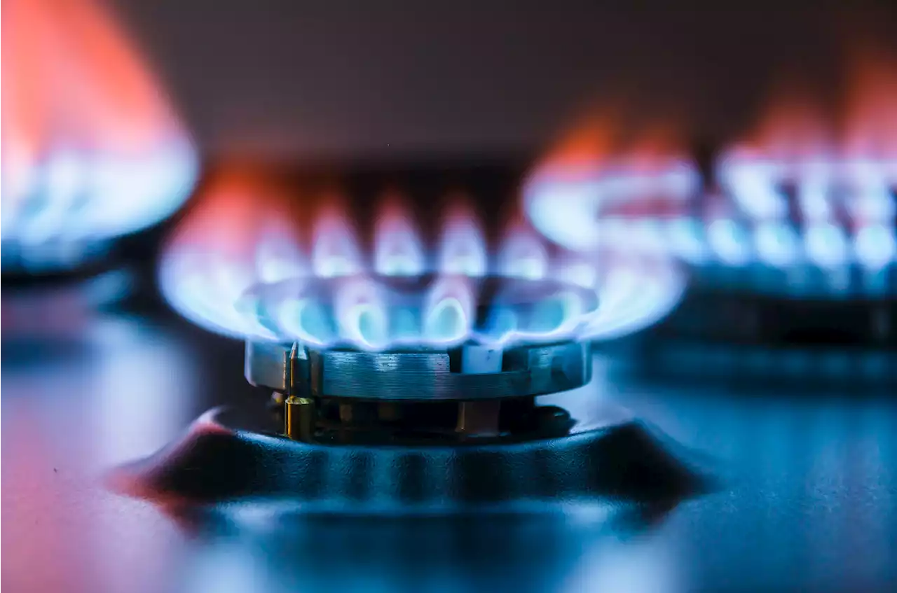 Brits could face average energy bills of up to £5,000 after Gov policy U-turn