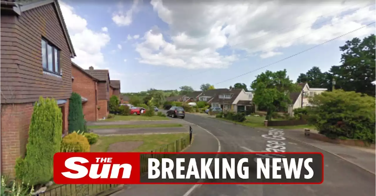 Woman in her 90s found dead in home as man arrested on suspicion of murder