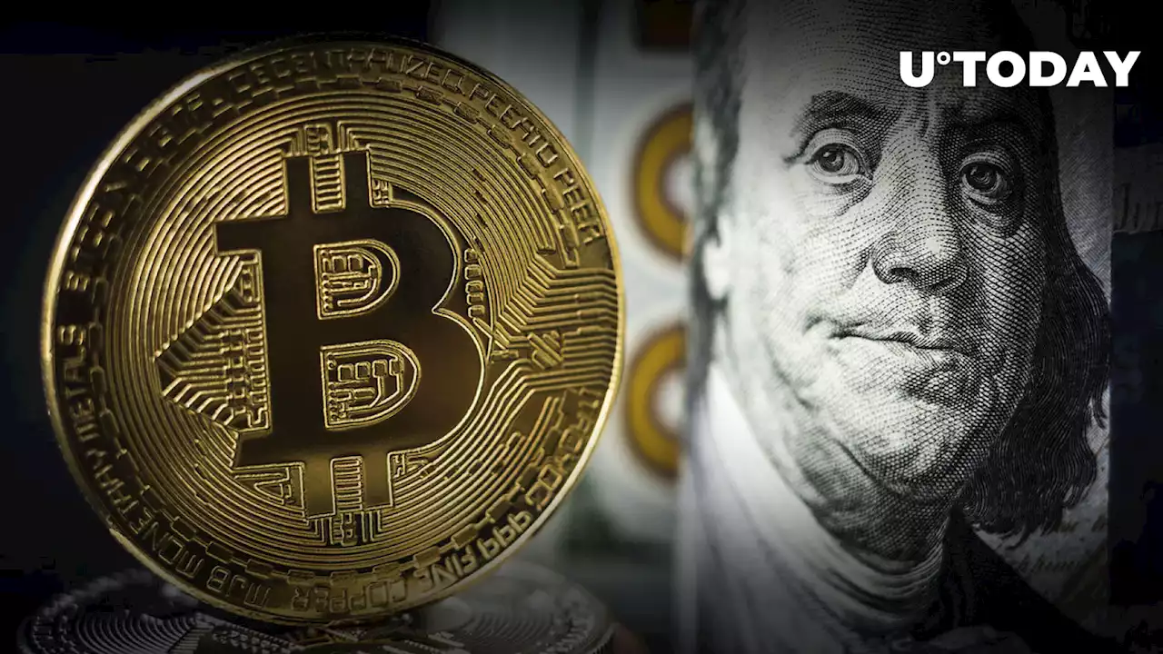 Record Billion USD in Bitcoin Transferred as This Report Says Bitcoin May Begin Rising Soon