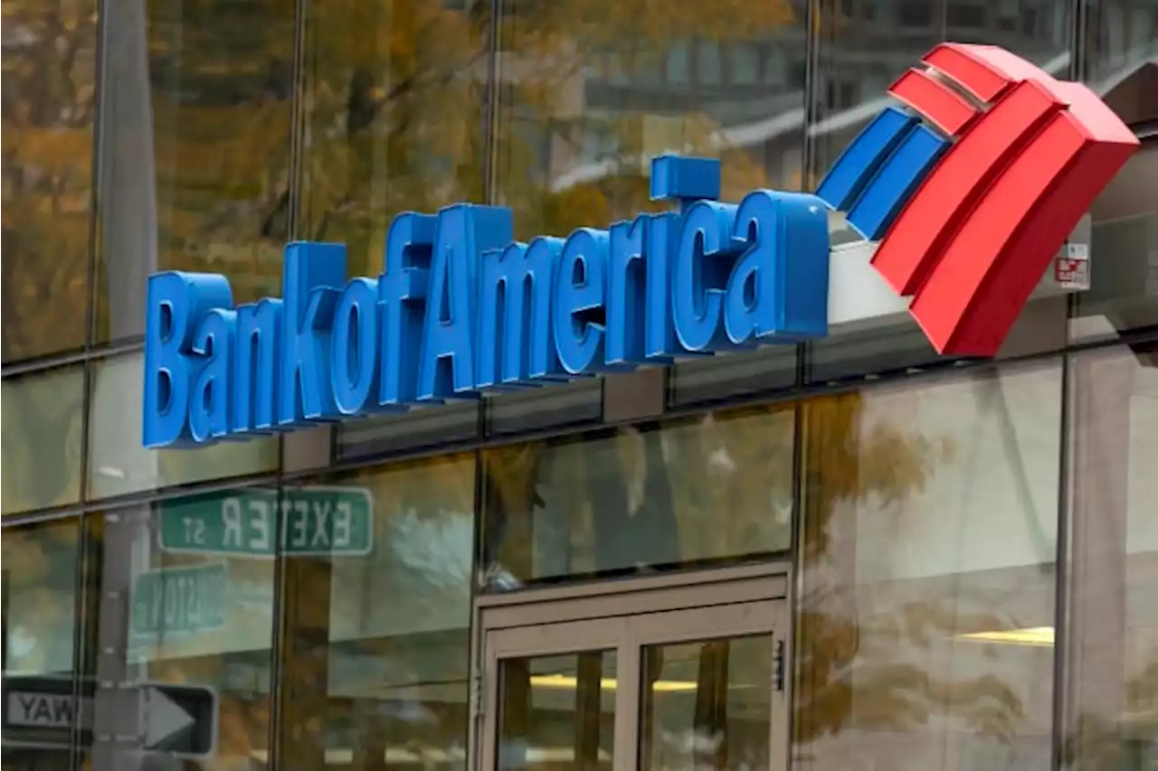 BofA profits fall as bank sets aside money for downturn