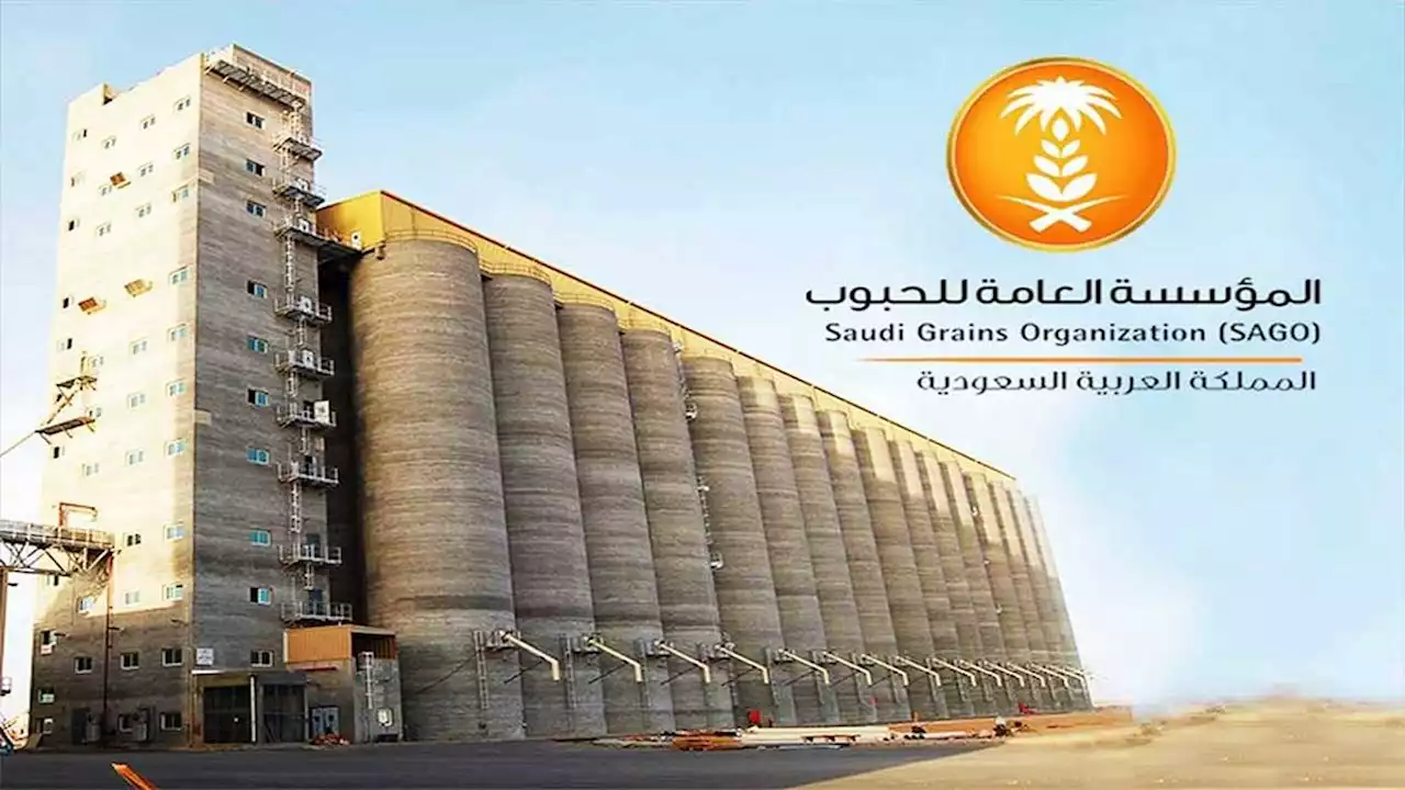 مؤسسة الحبوب: 219 مليار ريال قيمة الإنفاق الاستهلاكي للطعام والمشروبات والتبغ