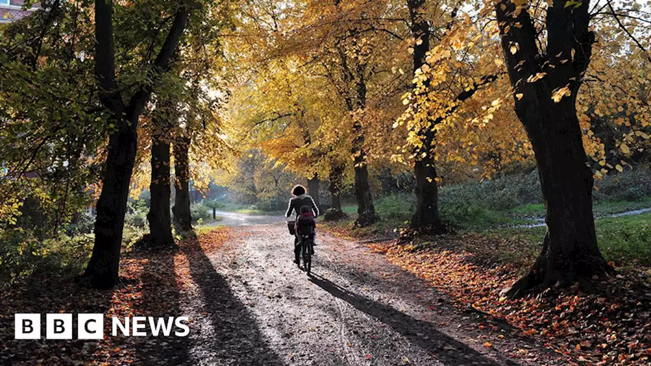 Doncaster to offer bikes on prescription to boost health