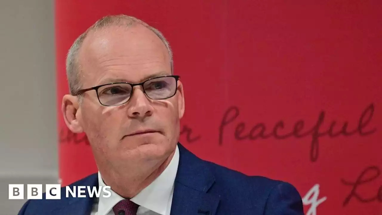 Simon Coveney resumes Belfast speech disrupted by hoax bomb