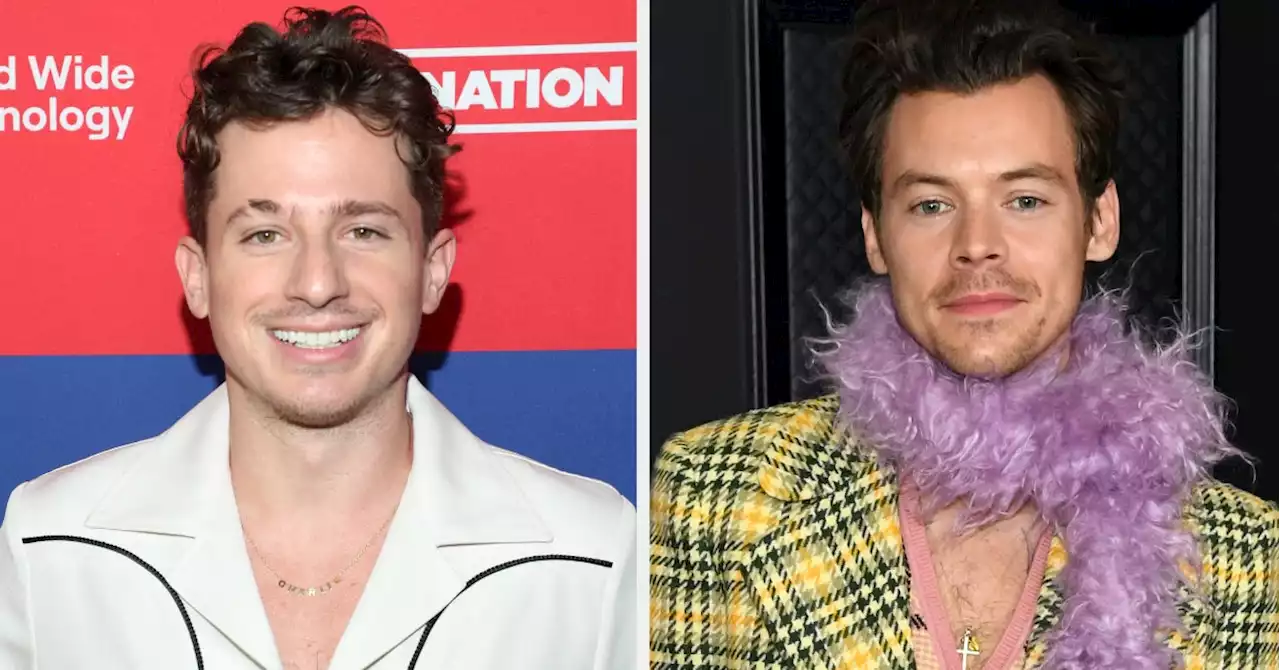 Charlie Puth Thinks Harry Styles 'Doesn't Like Him Very Much,' And Here's Why