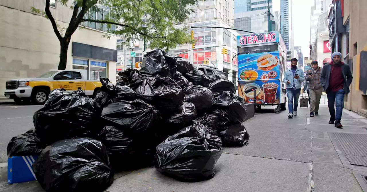 'This is not Ratatouille:' Faced with booming rat population, New York City officials announce new plan for trash collection