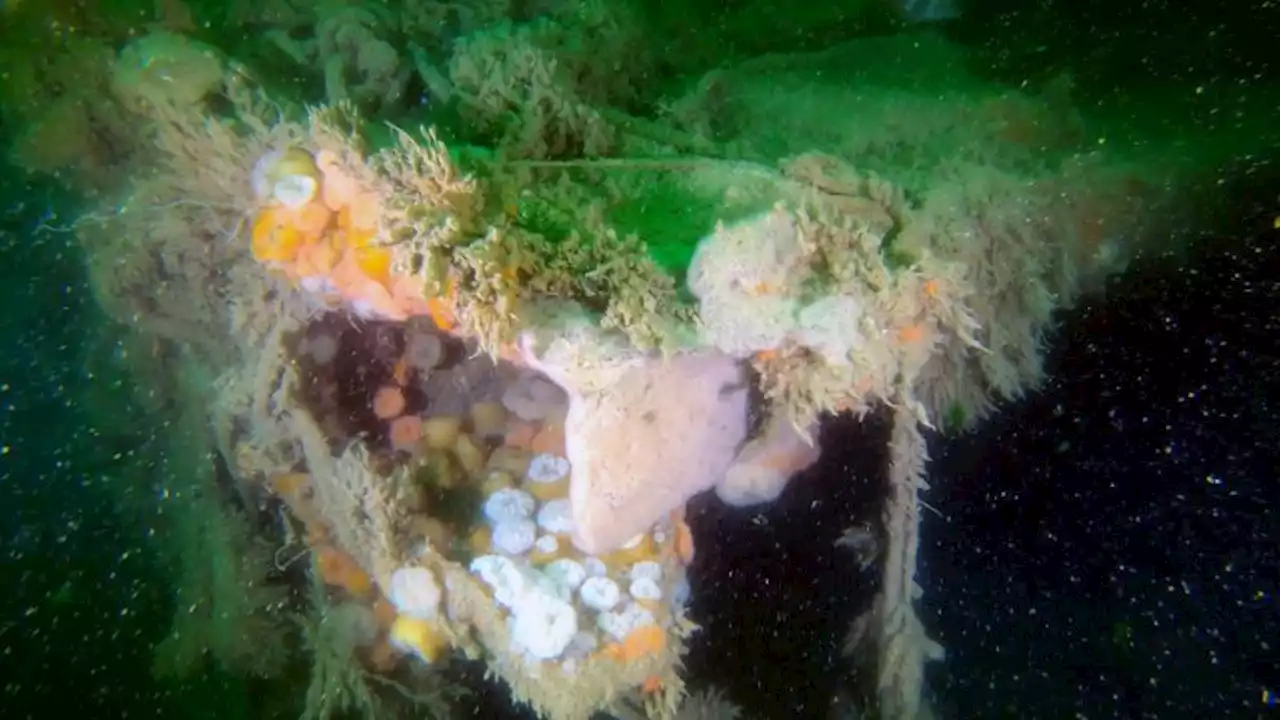 World War II shipwreck still pollutes the North Sea's ocean floor 80 years later | CNN