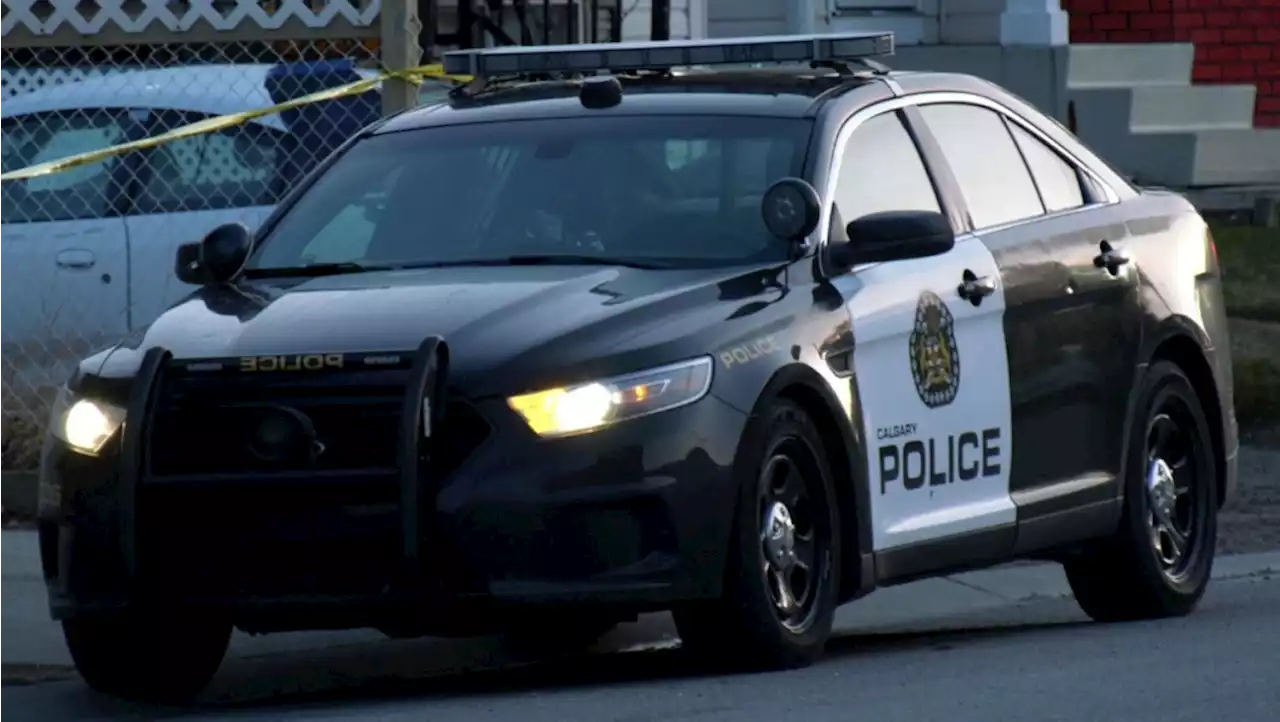 Calgary police investigate group assault that left woman in life-threatening condition