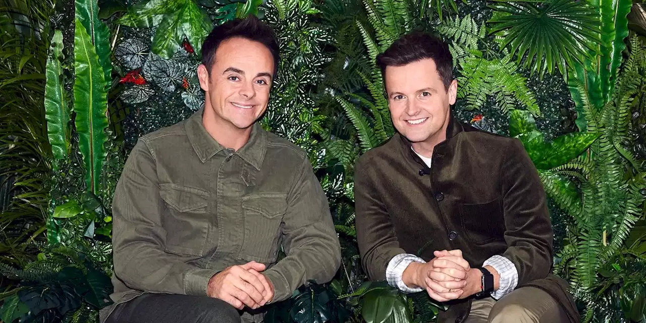 I'm A Celebrity responds to claims insecticide is used in the jungle