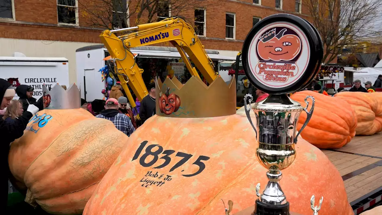 Dr. Bob Liggett wins 15th title with 1,837.5-pound champion at the Circleville Pumpkin Show