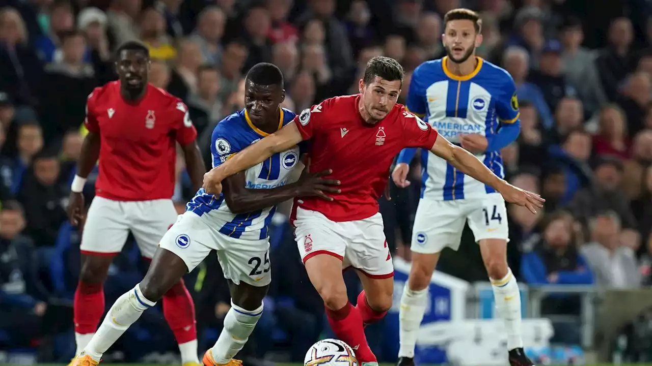 Brighton 0-0 Nottm Forest: Henderson on form as Cooper's side frustrate the Seagulls