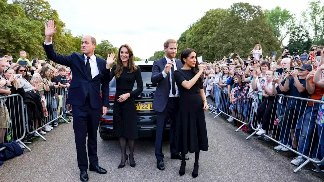 Catherine, Princess of Wales: Sie glaubt fest an eine Versöhnung zwischen William und Harry